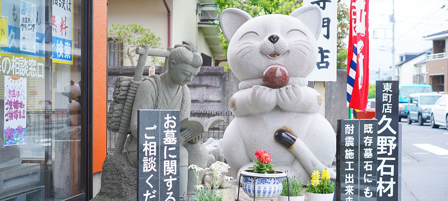 地域密着50年の実績